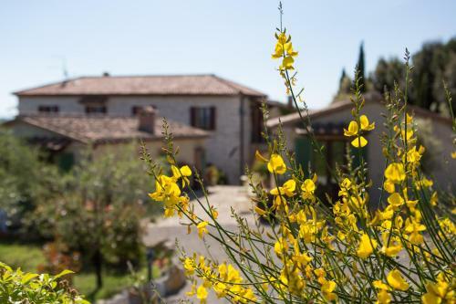Agroturismo Agriturismo Borghetto Il Montino