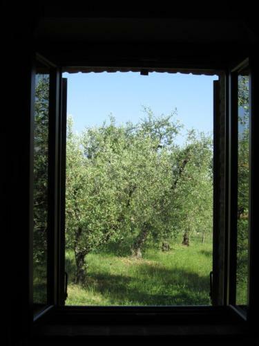 Agroturismo Agriturismo Borghetto Il Montino