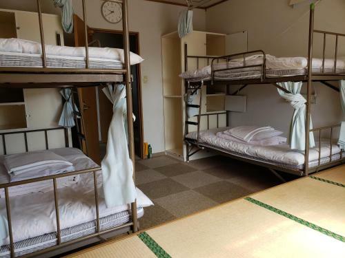 Yakushima Youth Hostel