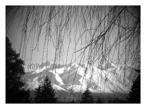 Wanaka Lodges