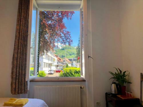 Posada Interlaken Marco Hostel