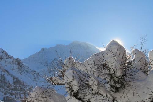 Posada Swiss Lodge Hotel Bernerhof