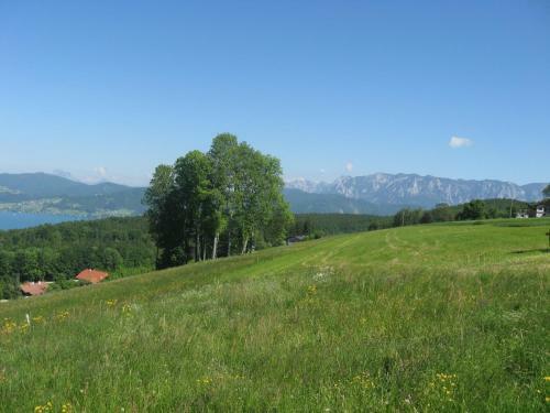 Hostal Gasthof Pension Steinberger