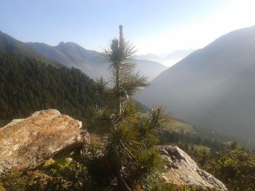 Apartment Fernerkogel