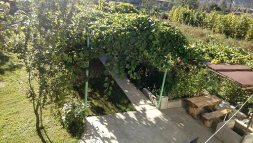 Hostal Guesthouse Aisi