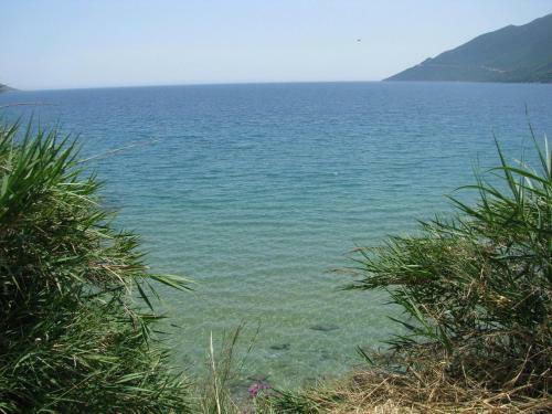 Aparthotel Skoutari Beach Hotel