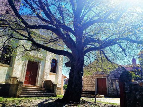 Hostal Pansion Tramontana
