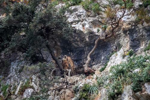 Hostal Pansion Tramontana