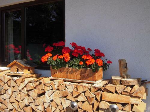 Hostal Hattenhof