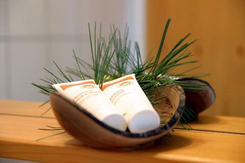 Hostal Almwellness Tonnerh�tte