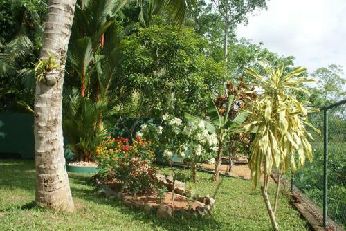 Hostal Lanka Rose Guest House