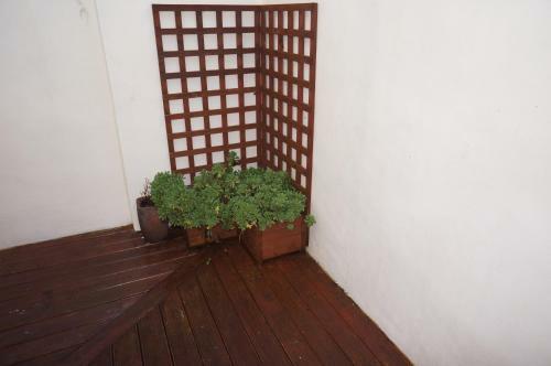 South Beach Apartments