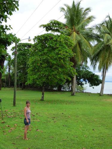 Corcovado Beach Lodge