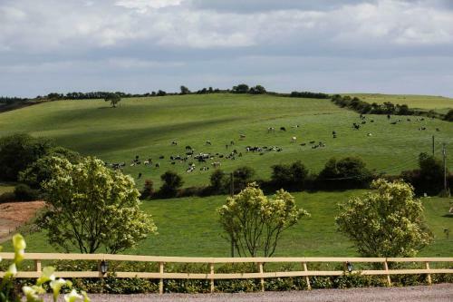 Bed & Breakfast Ard Na Greine Country House