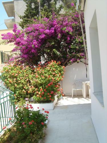 Magda' S Apartments