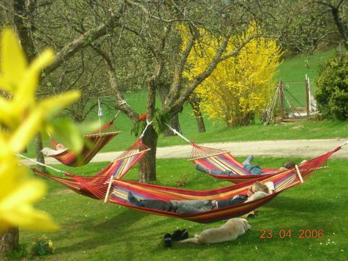 Hostal Tscharnighof