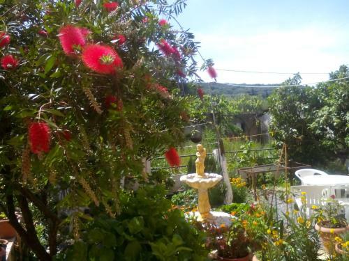 Apartamento Paradise Studios