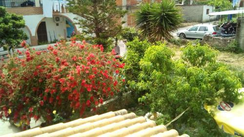 Apartamento Paradise Studios