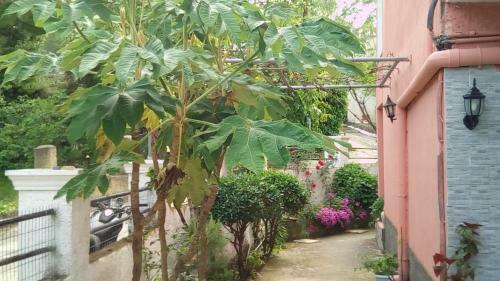 Apartamento Paradise Studios