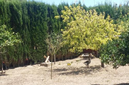 Agroturismo Comte