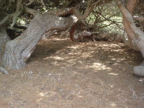 Finca Las Dunas
