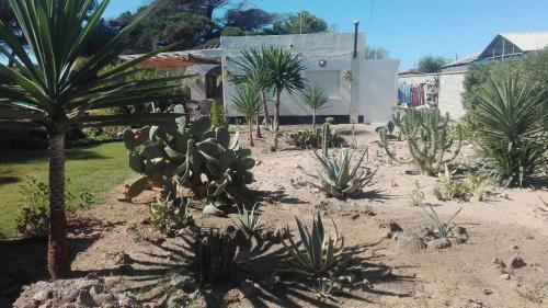 Finca Las Dunas