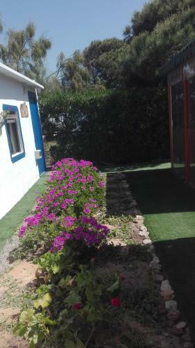 Finca Las Dunas