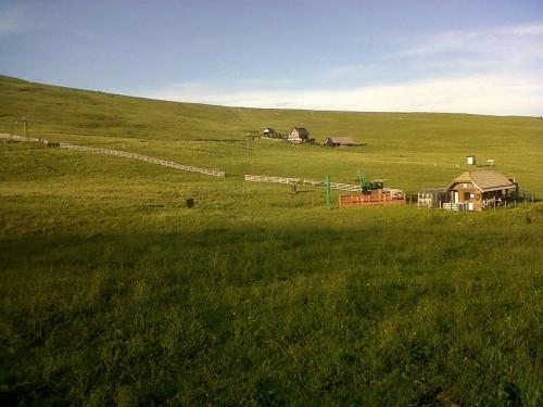 Apartamento Almhaus Wei�mann