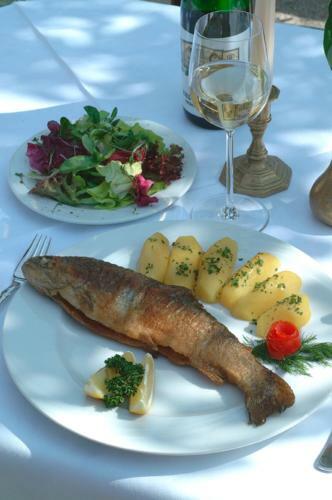 Hostal Gasthof Hemetsberger