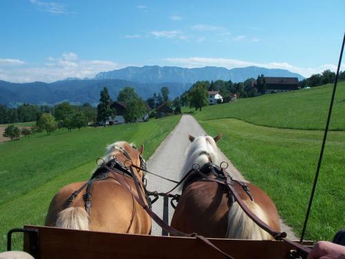 Hotel Gasthofladen Schneeweiss