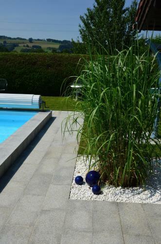 Hostal Haus Gruber
