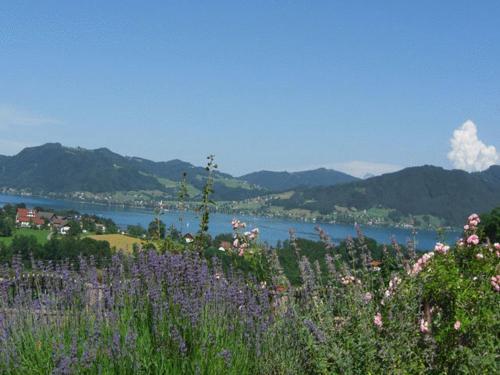 Hostal Pension Seeblick