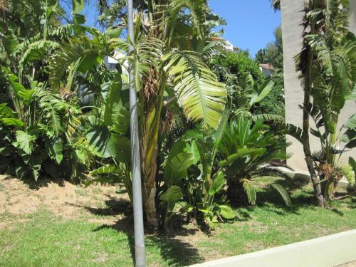 Apartamento Fan Flat Torremolinos