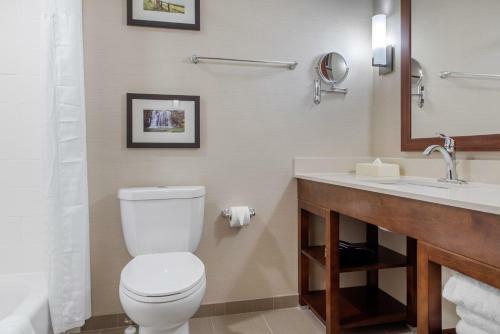 Hotel Comfort Suites Columbus Airport