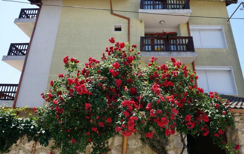 Hotel Margarita