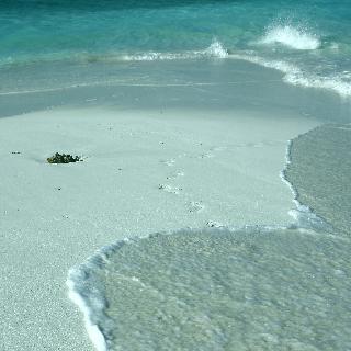 Hostal Picnic Inn