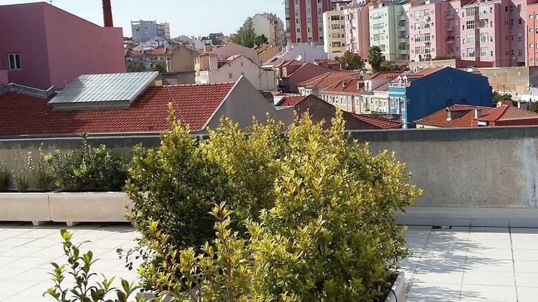 Hostal Wallis Rato