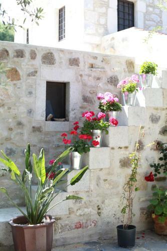 Bed & Breakfast Ha La Bodrum