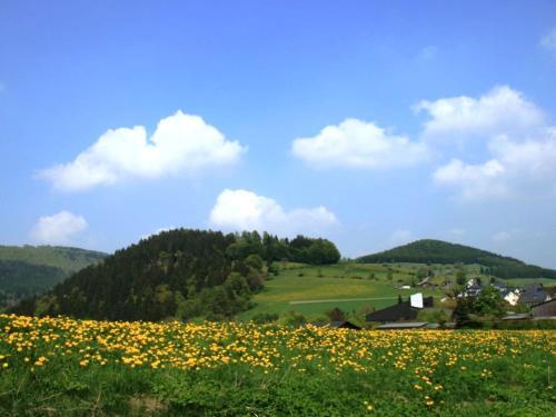 Gorgeous Apartment In Willingen Near Forest