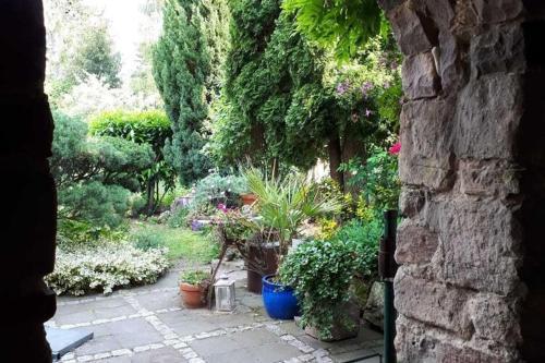 Cosy Holiday Home In Wernigerode With Fireplace And Private Terrace