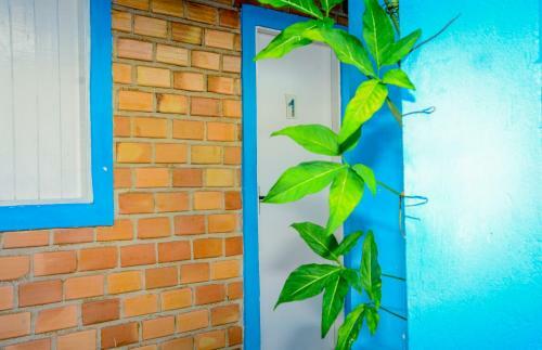 Hostel Estrela De Maraca