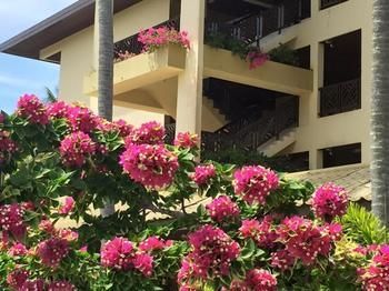 Hotel Palm Beach Resort & Spa