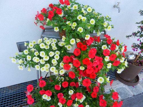 Pension Apartment H�dner