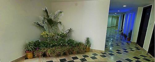 Hotel Panna Paradise