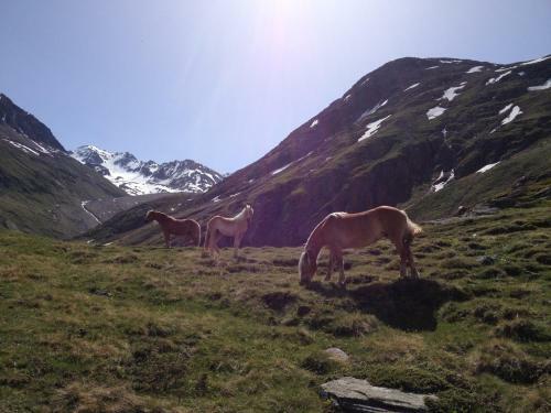 Apartamentos Appartement Wildspitz'