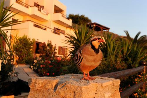 Aparthotel Kavousi Resort