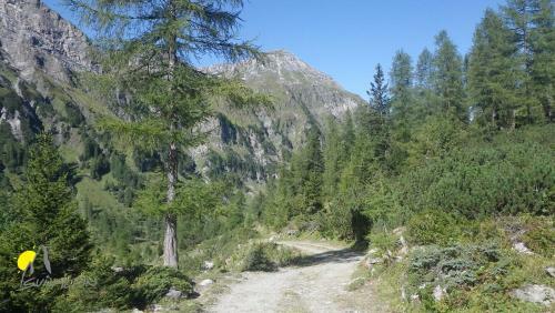 Apartamento Sunalpin - Ferienwohnungen