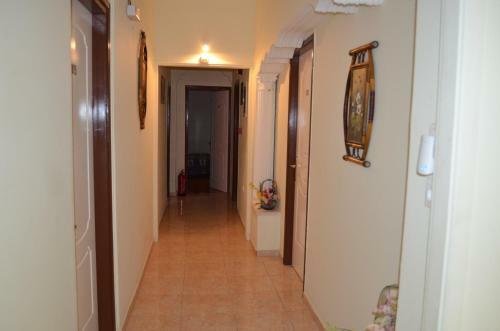 Hostal Palatino Studios