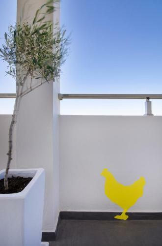 Apartamento Kallimento
