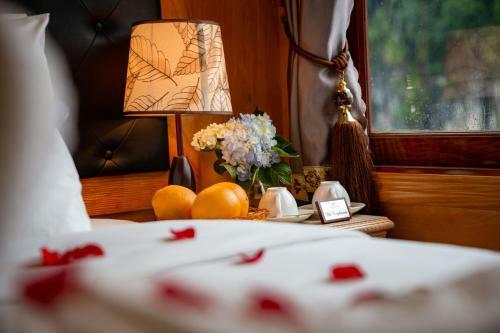 Venezia Cruises